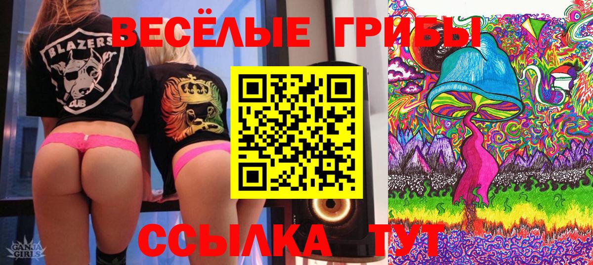 Галлюциногенные грибы Magic Shrooms  как найти наркотики  Петровск  Вход с VPN  Псилоцибиновые грибы MAGIC MUSHROOMS 